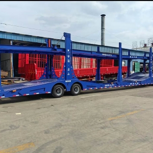 中亞五國的歐式風格轎運車籠車